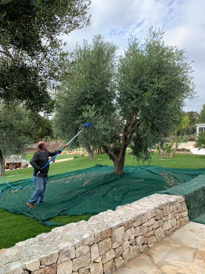 Villa Moresca Dei Trulli Fernando Ostuni Eksteriør bilde