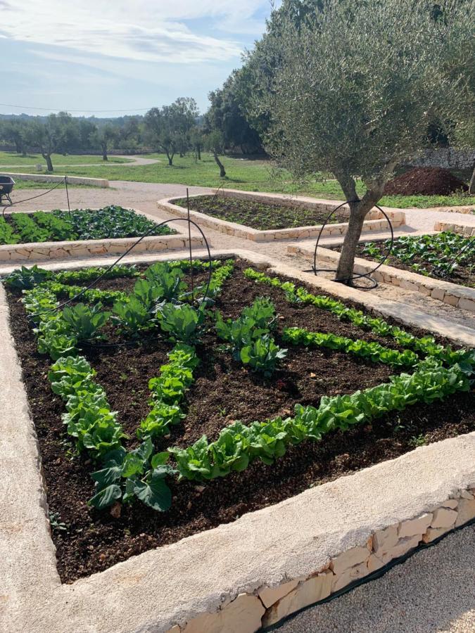 Villa Moresca Dei Trulli Fernando Ostuni Eksteriør bilde