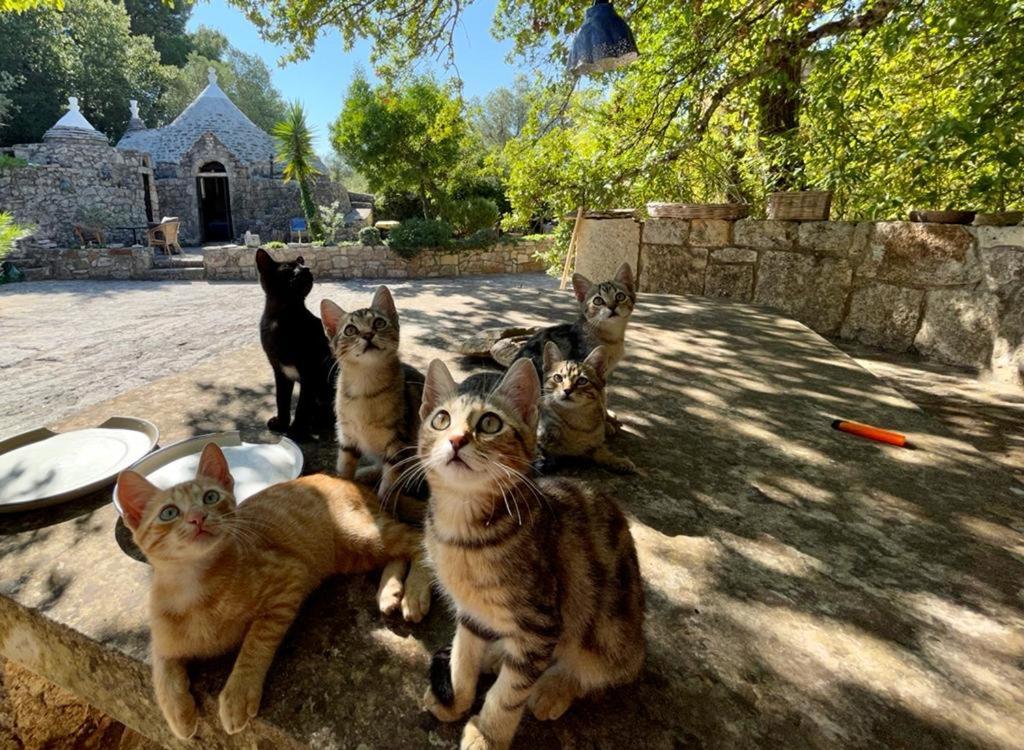 Villa Moresca Dei Trulli Fernando Ostuni Eksteriør bilde