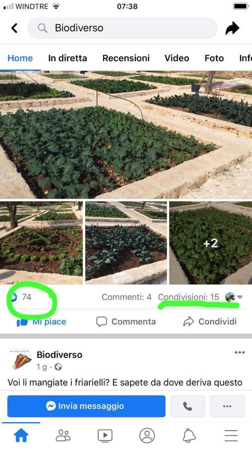 Villa Moresca Dei Trulli Fernando Ostuni Eksteriør bilde